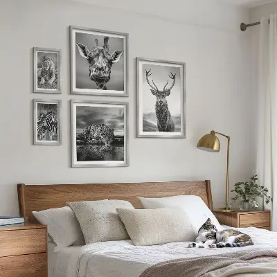 Framed photo set featuring black and white nature animals