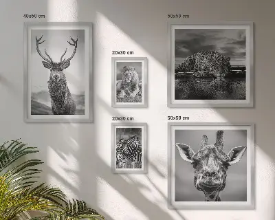 Framed photo set featuring black and white nature animals