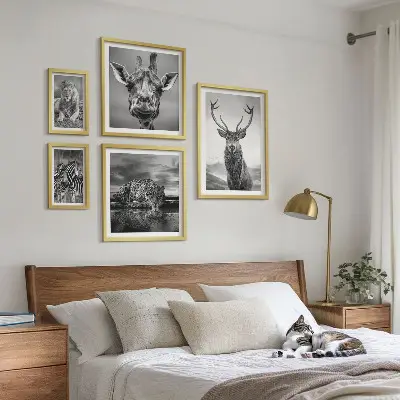 Framed photo set featuring black and white nature animals