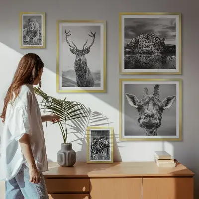 Framed photo set featuring black and white nature animals