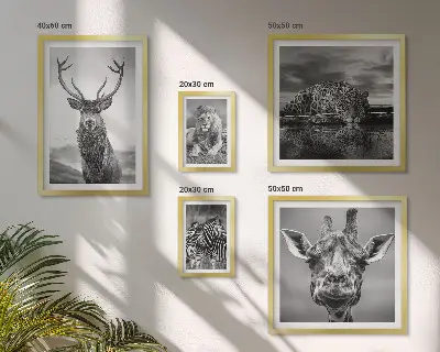Framed photo set featuring black and white nature animals