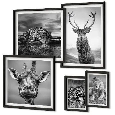 Framed photo set featuring black and white nature animals