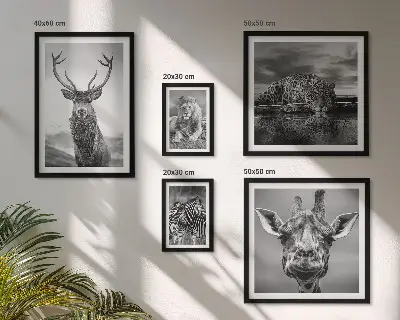 Framed photo set featuring black and white nature animals