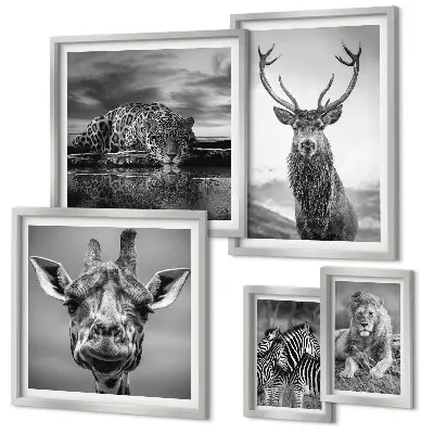 Framed photo set featuring black and white nature animals