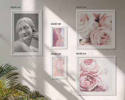 Framed photo set Classical floral sculptures