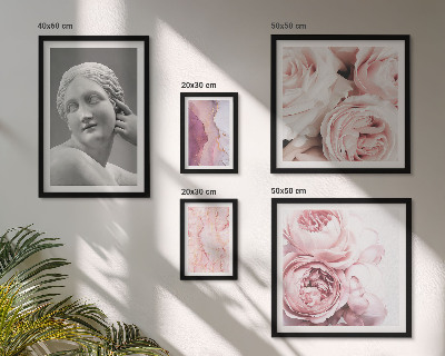 Framed photo set Classical floral sculptures