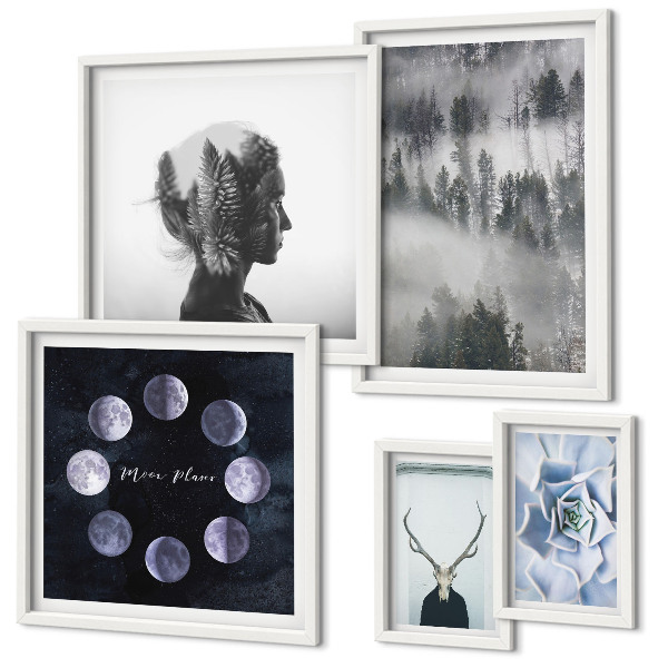 Framed photo set Natural forest space motifs