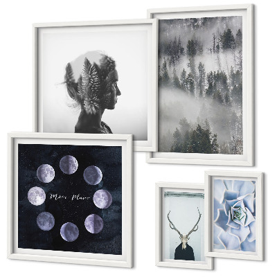 Framed photo set Natural forest space motifs
