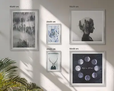 Framed photo set with natural forest space motifs