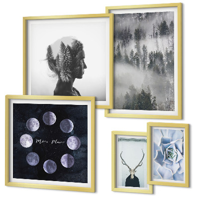 Framed photo set Natural forest space motifs