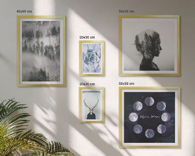 Framed photo set Natural forest space motifs