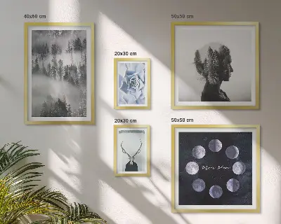 Framed photo set with natural forest space motifs