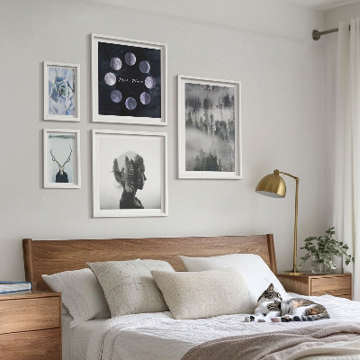Framed photo set Natural forest space motifs