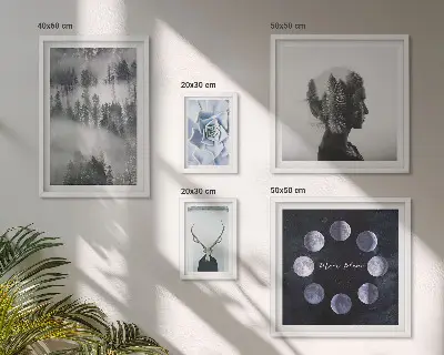 Framed photo set with natural forest space motifs