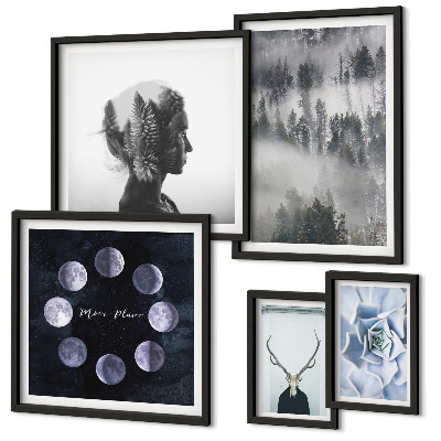 Framed photo set Natural forest space motifs