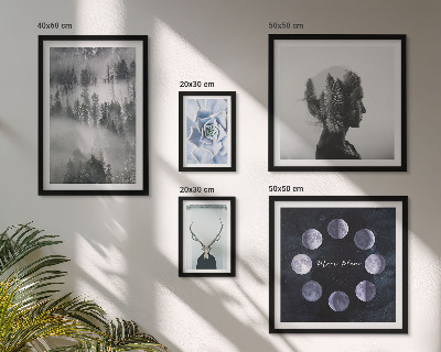Framed photo set Natural forest space motifs