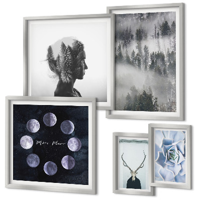Framed photo set Natural forest space motifs