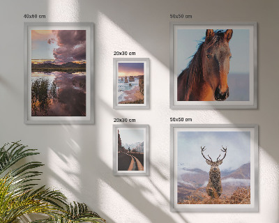Framed photo set The natural beauty of the landscapes