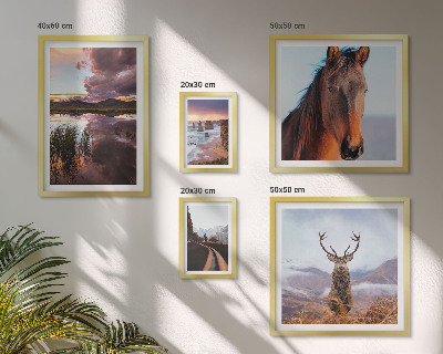 Framed photo set The natural beauty of the landscapes