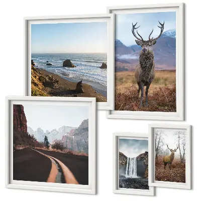 Gallery wall nature wild animals and landscapes