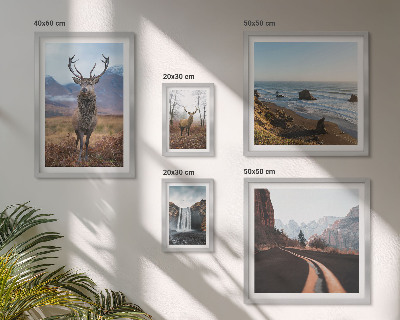 Gallery wall Nature wild animals landscapes