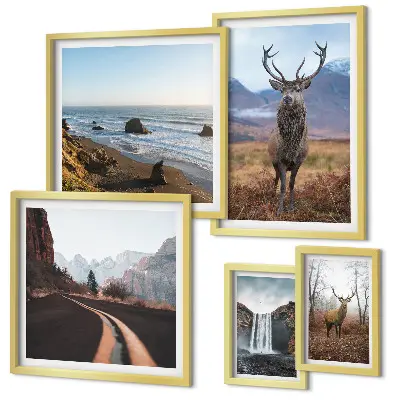 Gallery wall nature wild animals and landscapes