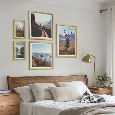 Gallery wall nature wild animals and landscapes