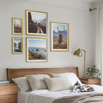 Gallery wall Nature wild animals landscapes