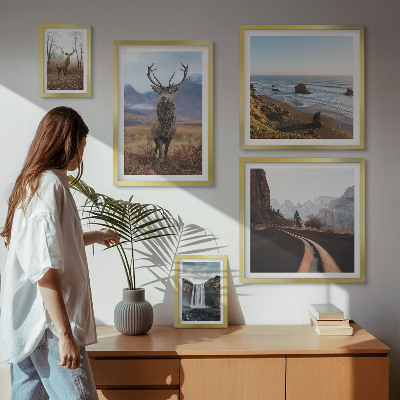 Gallery wall Nature wild animals landscapes