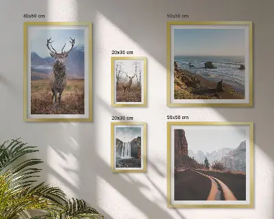 Gallery wall nature wild animals and landscapes