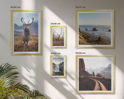 Gallery wall Nature wild animals landscapes