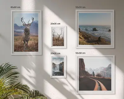 Gallery wall nature wild animals and landscapes