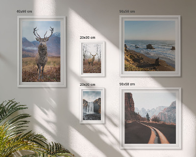Gallery wall Nature wild animals landscapes