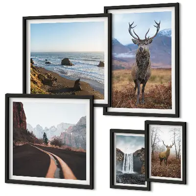 Gallery wall nature wild animals and landscapes