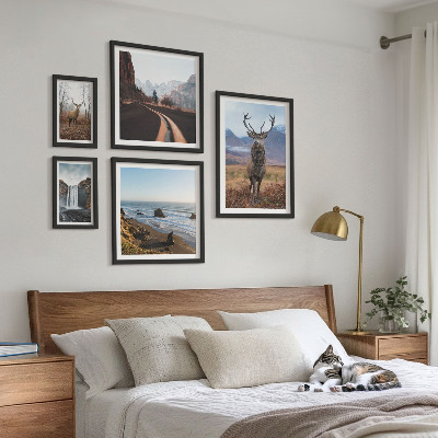 Gallery wall Nature wild animals landscapes