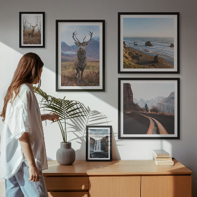 Gallery wall Nature wild animals landscapes