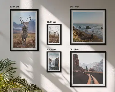 Gallery wall nature wild animals and landscapes