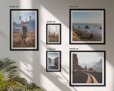 Gallery wall Nature wild animals landscapes