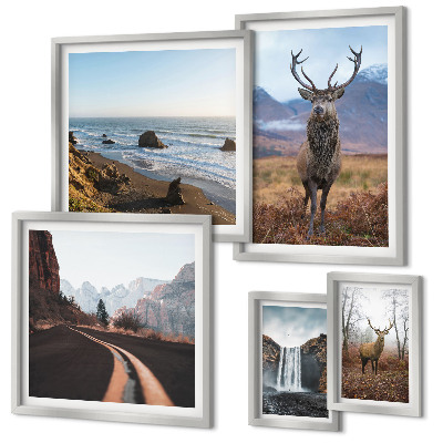 Gallery wall Nature wild animals landscapes