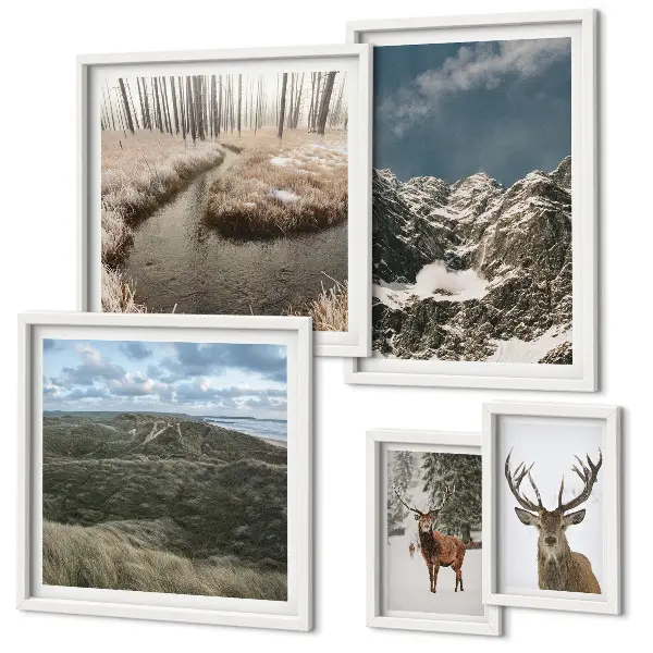 Framed photo set majestic wild nature mountains