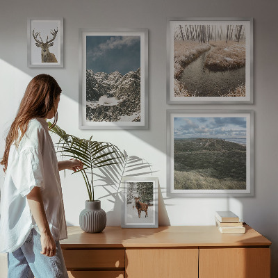 Framed photo set Wild nature majestic mountains