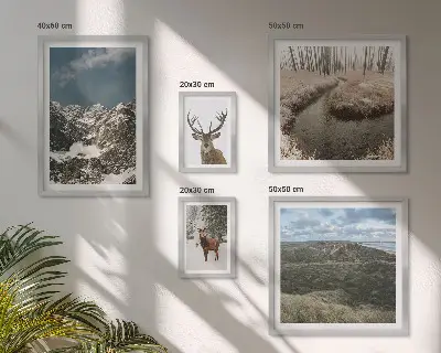Framed photo set majestic wild nature mountains