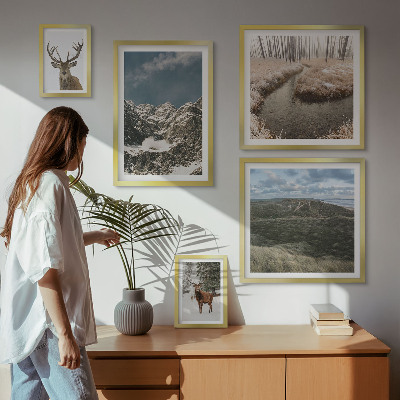 Framed photo set Wild nature majestic mountains