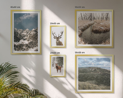 Framed photo set Wild nature majestic mountains