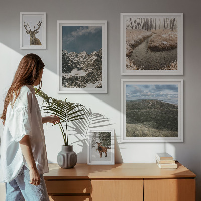 Framed photo set Wild nature majestic mountains