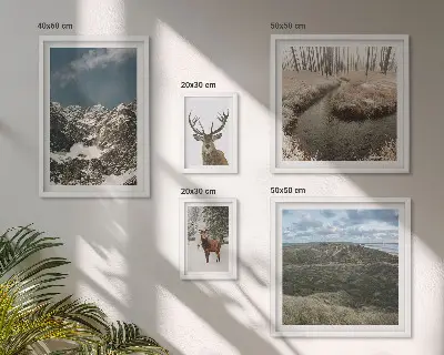 Framed photo set majestic wild nature mountains