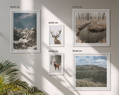 Framed photo set Wild nature majestic mountains