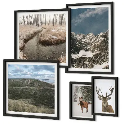 Framed photo set majestic wild nature mountains