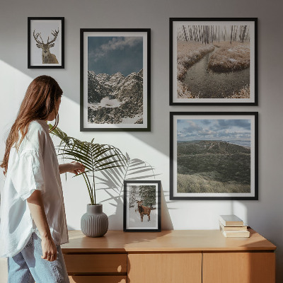 Framed photo set Wild nature majestic mountains
