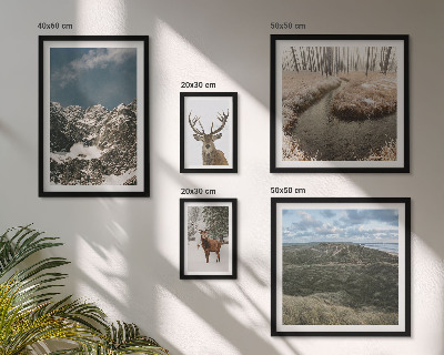Framed photo set Wild nature majestic mountains